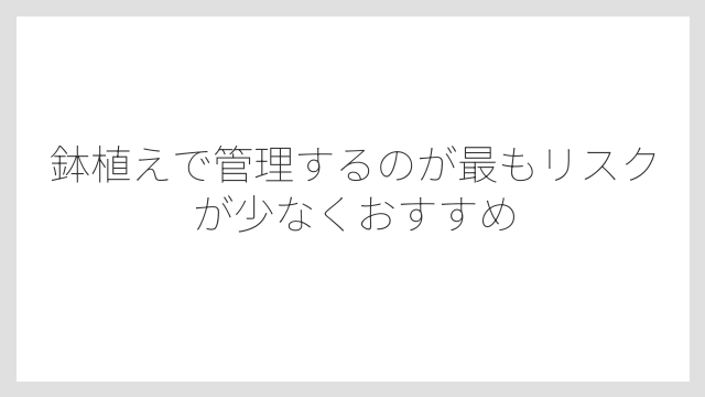 鉢植えで管理するのが最もリスクが少なくおすすめ