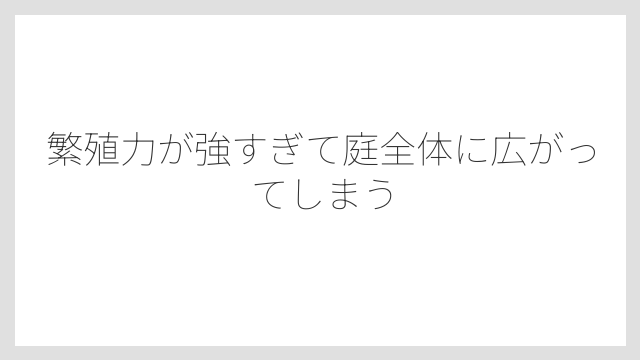 繁殖力が強すぎて庭全体に広がってしまう