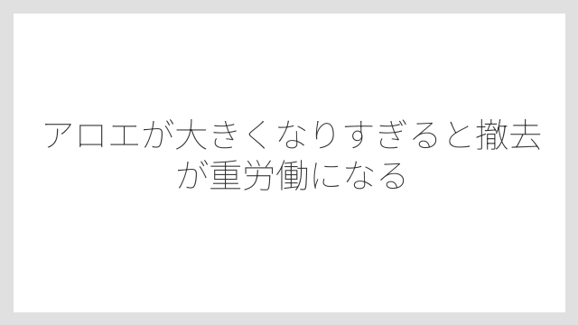 アロエが大きくなりすぎると撤去が重労働になる