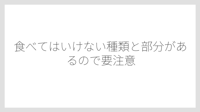食べてはいけない種類と部分があるので要注意