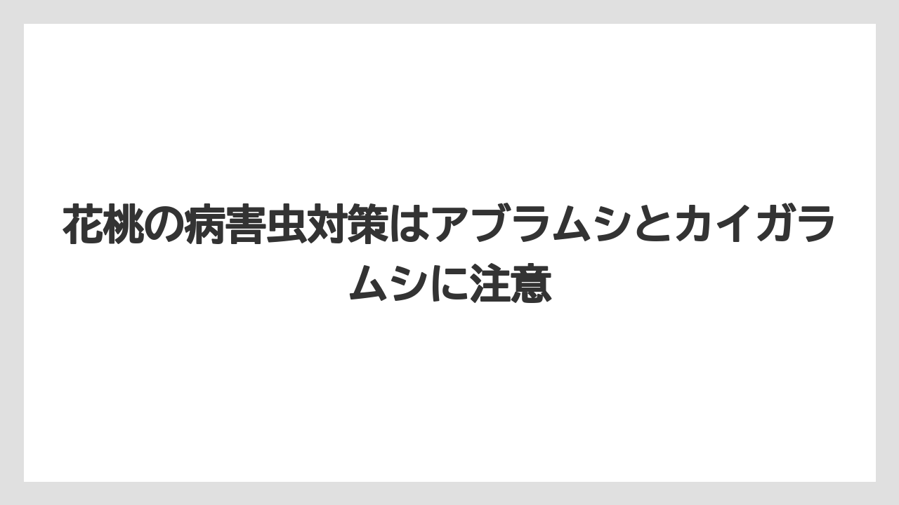 【剪定】【庭】【植え】【育て方】【花】花桃の病害虫対策はアブラムシとカイガラムシに注意