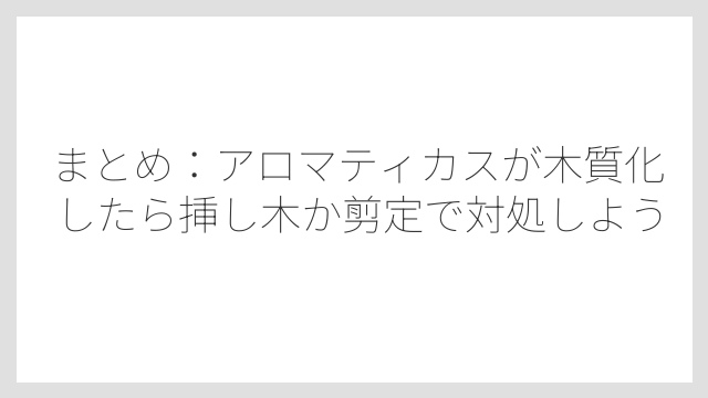 まとめ：アロマティカスが木質化したら挿し木か剪定で対処しよう