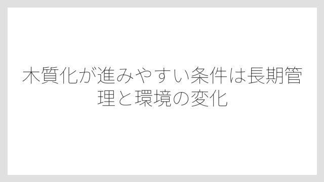 木質化が進みやすい条件は長期管理と環境の変化