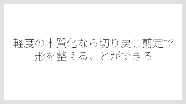 軽度の木質化なら切り戻し剪定で形を整えることができる