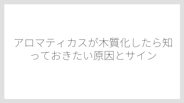 アロマティカスが木質化したら知っておきたい原因とサイン