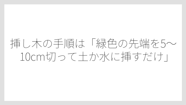 挿し木の手順は「緑色の先端を5〜10cm切って土か水に挿すだけ」