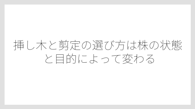 挿し木と剪定の選び方は株の状態と目的によって変わる
