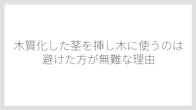 木質化した茎を挿し木に使うのは避けた方が無難な理由