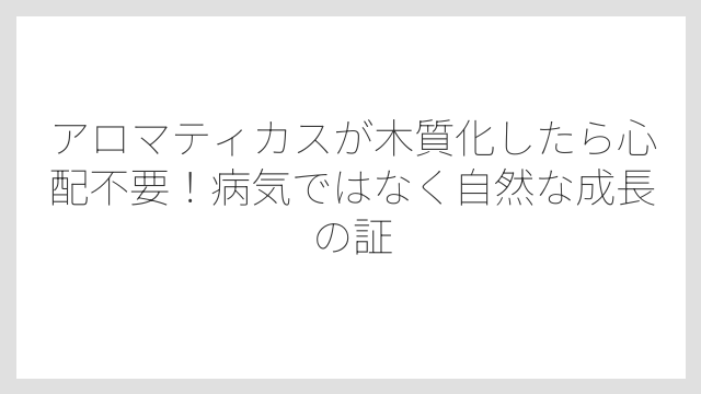 アロマティカスが木質化したら心配不要！病気ではなく自然な成長の証
