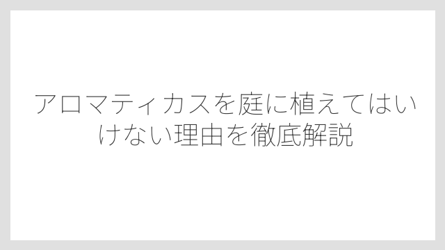 アロマティカスを庭に植えてはいけない理由を徹底解説