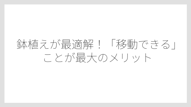 鉢植えが最適解！「移動できる」ことが最大のメリット