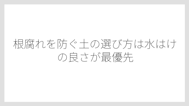 根腐れを防ぐ土の選び方は水はけの良さが最優先