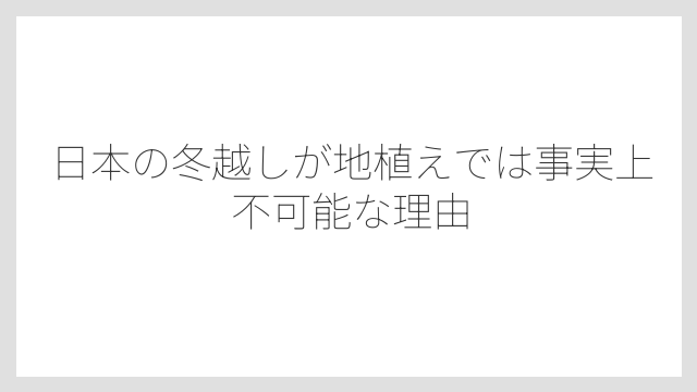 日本の冬越しが地植えでは事実上不可能な理由