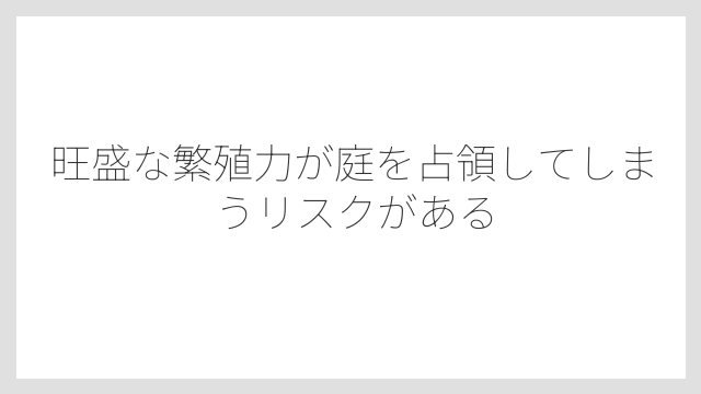 旺盛な繁殖力が庭を占領してしまうリスクがある