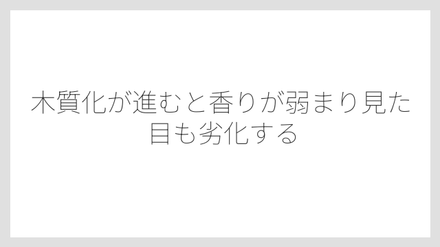 木質化が進むと香りが弱まり見た目も劣化する