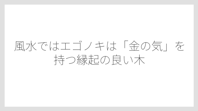 風水ではエゴノキは「金の気」を持つ縁起の良い木