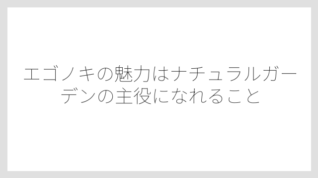 エゴノキの魅力はナチュラルガーデンの主役になれること