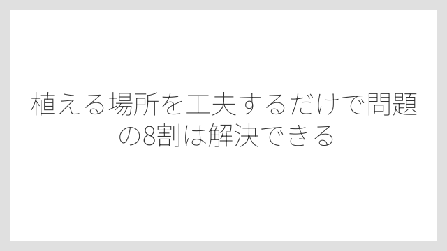 植える場所を工夫するだけで問題の8割は解決できる