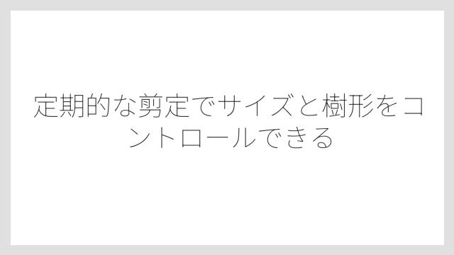 定期的な剪定でサイズと樹形をコントロールできる
