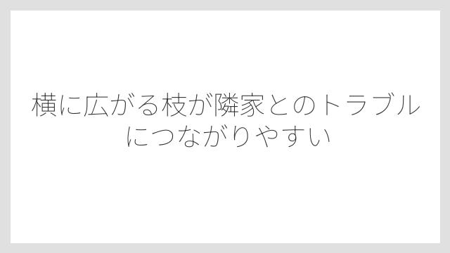 横に広がる枝が隣家とのトラブルにつながりやすい