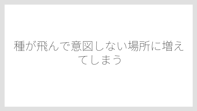 種が飛んで意図しない場所に増えてしまう