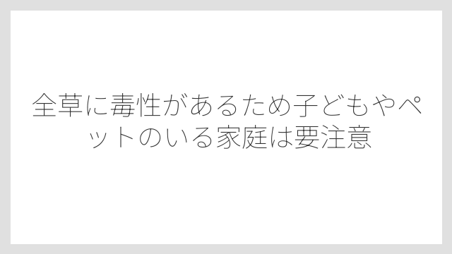 全草に毒性があるため子どもやペットのいる家庭は要注意
