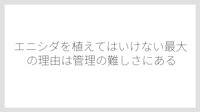エニシダを植えてはいけない最大の理由は管理の難しさにある