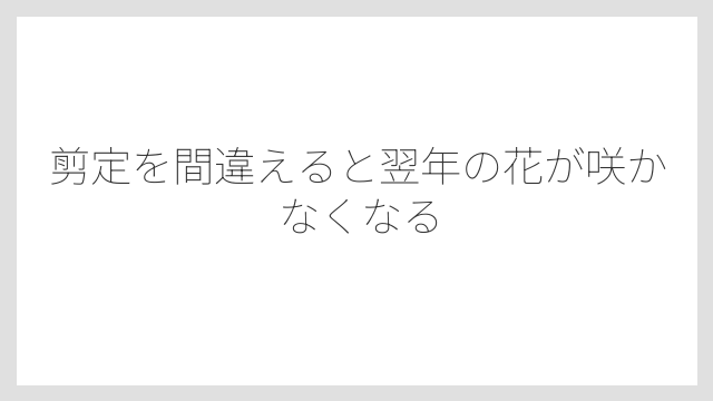剪定を間違えると翌年の花が咲かなくなる
