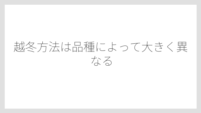越冬方法は品種によって大きく異なる