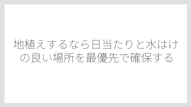 地植えするなら日当たりと水はけの良い場所を最優先で確保する