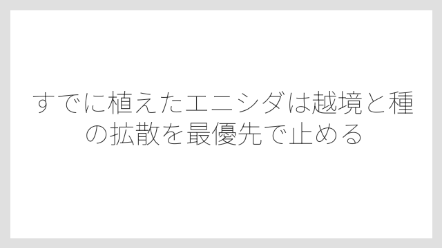 すでに植えたエニシダは越境と種の拡散を最優先で止める