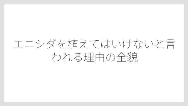 エニシダを植えてはいけないと言われる理由の全貌
