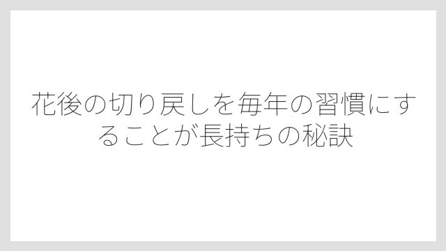 花後の切り戻しを毎年の習慣にすることが長持ちの秘訣