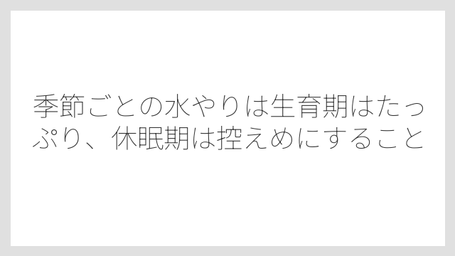 季節ごとの水やりは生育期はたっぷり、休眠期は控えめにすること