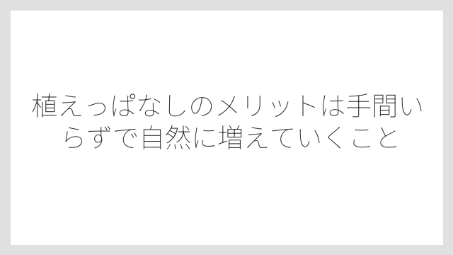 植えっぱなしのメリットは手間いらずで自然に増えていくこと