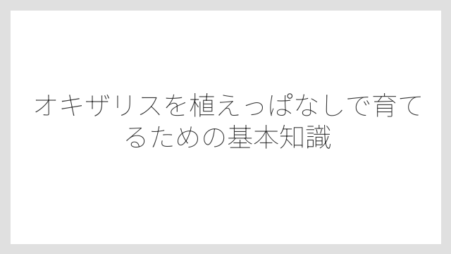 オキザリスを植えっぱなしで育てるための基本知識