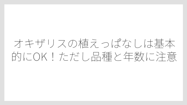 オキザリスの植えっぱなしは基本的にOK！ただし品種と年数に注意