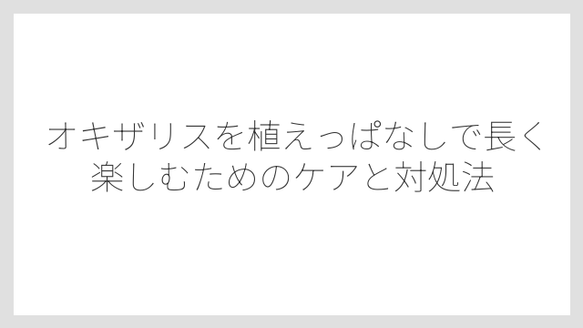植えっぱなしに向く土づくりは水はけ重視が鉄則
