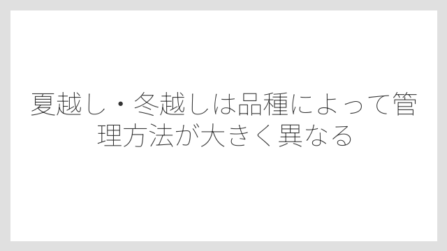 夏越し・冬越しは品種によって管理方法が大きく異なる