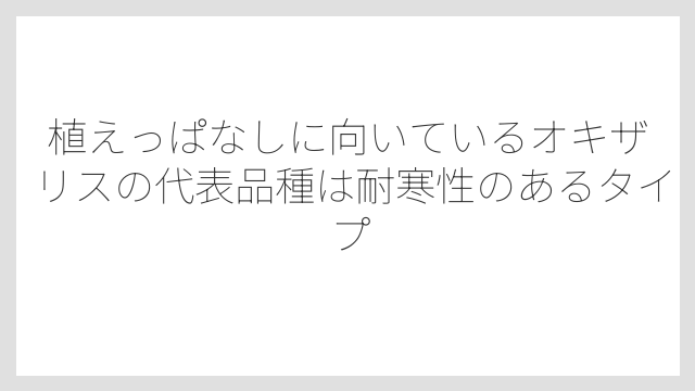 植えっぱなしに向いているオキザリスの代表品種は耐寒性のあるタイプ