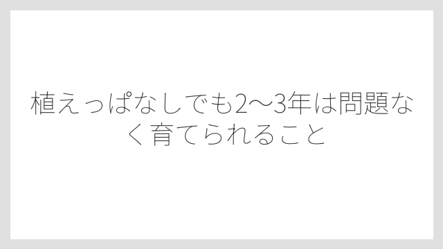 植えっぱなしでも2〜3年は問題なく育てられること
