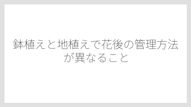 鉢植えと地植えで花後の管理方法が異なること