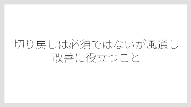 切り戻しは必須ではないが風通し改善に役立つこと