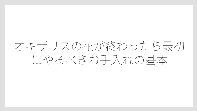 オキザリスの花が終わったら最初にやるべきお手入れの基本