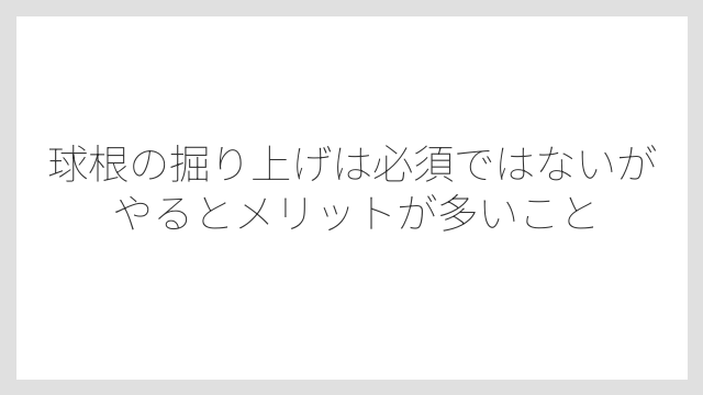 球根の掘り上げは必須ではないがやるとメリットが多いこと