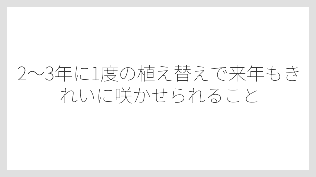 2〜3年に1度の植え替えで来年もきれいに咲かせられること