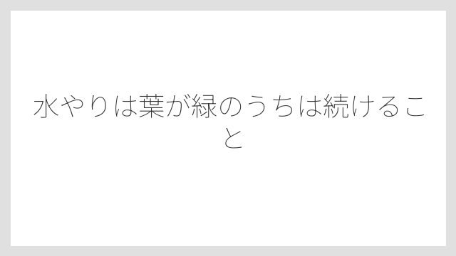 水やりは葉が緑のうちは続けること