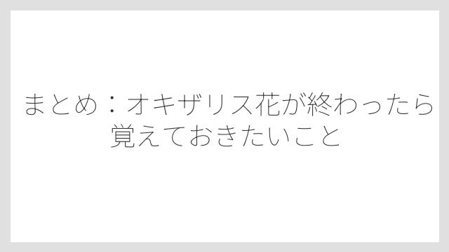 まとめ：オキザリス花が終わったら覚えておきたいこと
