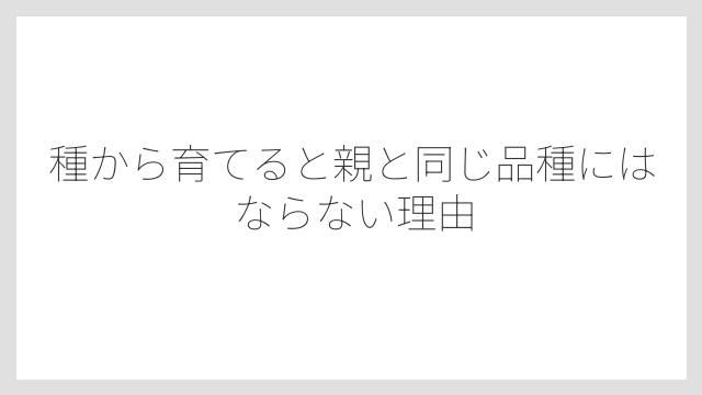 種から育てると親と同じ品種にはならない理由