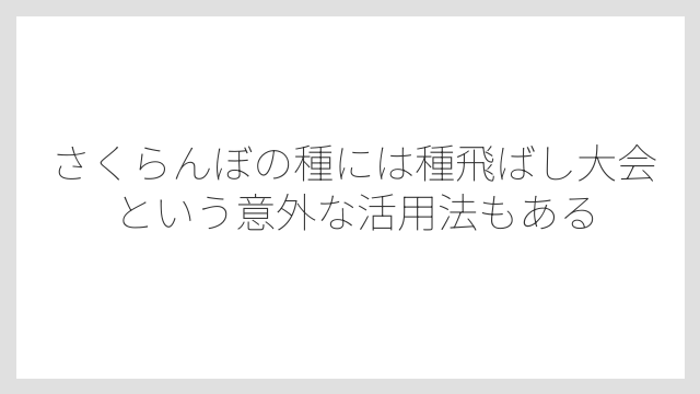 さくらんぼの種には種飛ばし大会という意外な活用法もある